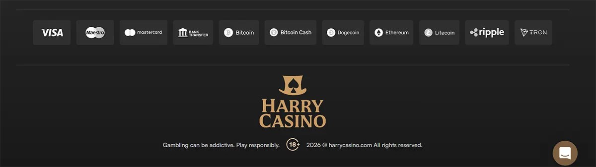 Harry Casino footer with payment method icons for Visa, Maestro, Mastercard, bank transfer, Bitcoin, Bitcoin Cash, Dogecoin, Ethereum, Litecoin, Ripple, and TRON, plus the Harry Casino logo, 18+ warning, responsible gambling message, and copyright notice on a dark background.