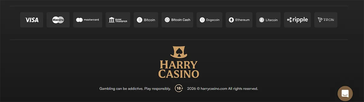 Harry Casino footer with payment method icons for Visa, Maestro, Mastercard, bank transfer, Bitcoin, Bitcoin Cash, Dogecoin, Ethereum, Litecoin, Ripple, and TRON, plus the Harry Casino logo, 18+ warning, responsible gambling message, and copyright notice on a dark background.